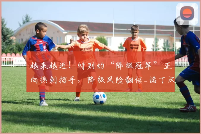 越来越近!特别的“降级冠军”正向热刺招手,降级风险翻倍_诺丁汉森林_英超_球迷