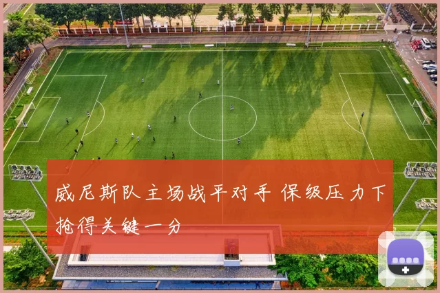 威尼斯队主场战平对手 保级压力下抢得关键一分