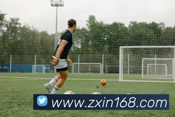 开云(中国)Kaiyun·官方网站 - 登录入口平台生态图